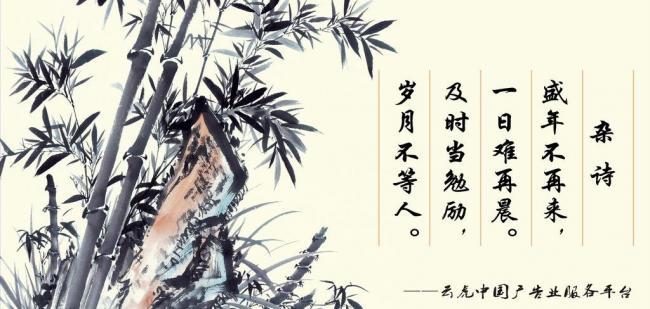 辦公室風(fēng)水?dāng)[件，助你事業(yè)風(fēng)生水起